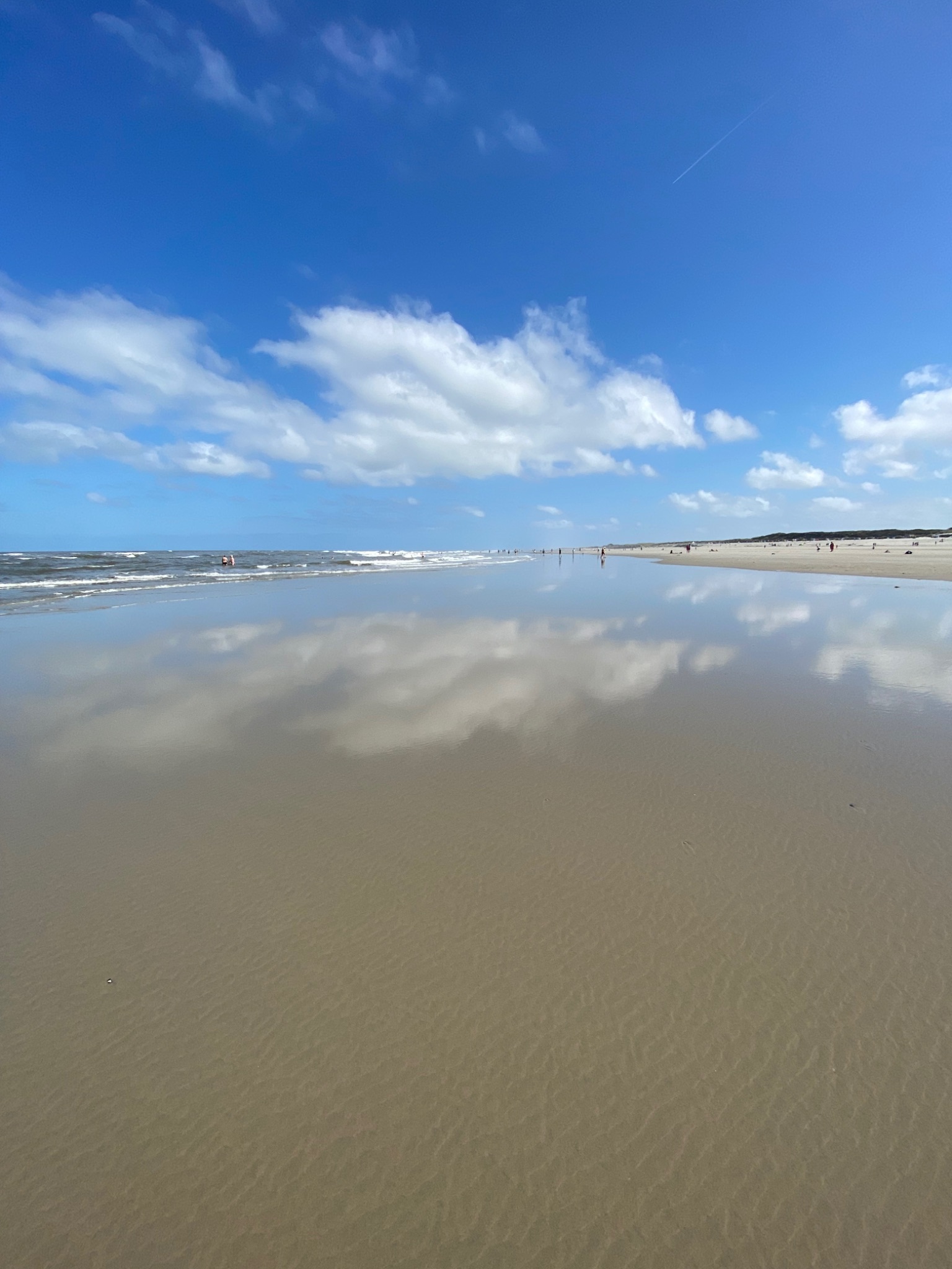 45A28BA5 800C 4F5A 8255 3FE6C8A9B7C8