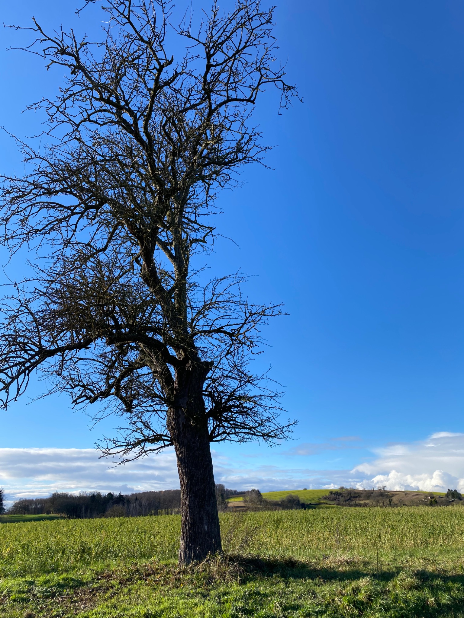 7BFEDDF6 3CFA 4B24 827B 5748658DBA08